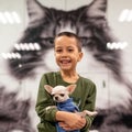 Portrait  of a little boy  holding a chihuahua dog in his hand Royalty Free Stock Photo