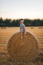 Little boy sitting on a haystack in a field of wheat  at sunset Royalty Free Stock Photo