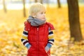 Portrait of little boy during stroll in the forest at sunny autumn day Royalty Free Stock Photo