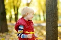 Portrait of little boy during stroll in the forest at sunny autumn day Royalty Free Stock Photo