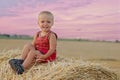 Portrait of little boy in a summer hat sitting on a haystack in a field of wheat