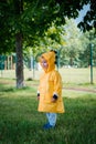 Portrait of a little boy in a yellow raincoat. Royalty Free Stock Photo