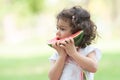 Portrait of little Caucasian cute girl holding sliced watermelon and enjoy eating or biting fresh fruit while picnic at park. Royalty Free Stock Photo