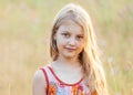 Portrait of little cheerful girl in a meadow