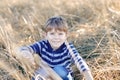 Portrait of little cool kid boy in high dry grass. Happy healthy child having fun on warm sunny day early autumn. Family Royalty Free Stock Photo