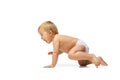 Portrait of little cute toddler boy, baby in diaper crawling isolated over white studio background. Side view Royalty Free Stock Photo