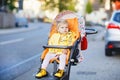 Portrait of little cute toddler girl sitting in stroller or pram and going for a walk. Happy cute baby child having fun Royalty Free Stock Photo