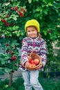 Portrait of a little girl with a crop of apples .