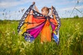 Portrait of little girl with Asian eyes and butterfly wings having fun and joy in meadow or field with grass and flowers Royalty Free Stock Photo