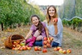 Portrait of little girl and beautiful mother with red apples in organic orchard. Happy woman and kid daughter picking Royalty Free Stock Photo