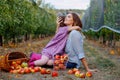 Portrait of little girl and beautiful mother with red apples in organic orchard. Happy woman and kid daughter picking Royalty Free Stock Photo