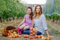 Portrait of little girl and beautiful mother with red apples in organic orchard. Happy woman and kid daughter picking Royalty Free Stock Photo