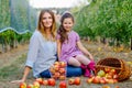 Portrait of little girl and beautiful mother with red apples in organic orchard. Happy woman and kid daughter picking Royalty Free Stock Photo