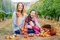 Portrait of little girl and beautiful mother with red apples in organic orchard. Happy woman and kid daughter picking Royalty Free Stock Photo