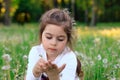 Portrait of  little Girl is blowing dandelion flower in summer park. Happy cute child having fun outdoors Royalty Free Stock Photo