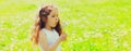 Portrait of little girl child blowing dandelions flowers in spring sunny meadow Royalty Free Stock Photo