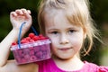 Portrait of a little girl child holdind small basket of ripe raspberries. Close-up Royalty Free Stock Photo