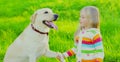 Portrait little girl child and labrador retriever dog together on the grass in summer Royalty Free Stock Photo