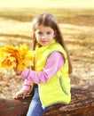 Portrait little girl child with yellow maple leafs in autumn Royalty Free Stock Photo