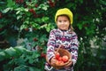 Portrait of a little girl with a crop of apples .