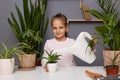 Portrait of little girl with dark hair watering plants, taking care care of indoor flowers, child helping her mother florist in Royalty Free Stock Photo