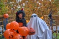 Portrait little girl in devil witch costume laughs with ghost wearing glasses. Orange pumpkin Halloween. A holiday on Royalty Free Stock Photo