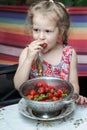 Portrait of little girl eating red strawberries from cullender Royalty Free Stock Photo