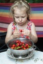 Portrait of little girl eating ripe red strawberry fruits from colander