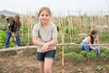 Portrait of little girl on farm field Royalty Free Stock Photo