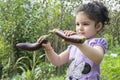 Portrait of a little girl playing with two fresh eggplants picked from garden Royalty Free Stock Photo