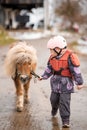 Portrait of little girl in protective jacket and helmet with her brown pony before riding Lesson Royalty Free Stock Photo