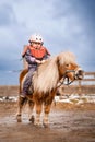 Portrait of little girl in protective jacket and helmet with her brown pony before riding Lesson Royalty Free Stock Photo