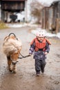 Portrait of little girl in protective jacket and helmet with her brown pony before riding Lesson Royalty Free Stock Photo