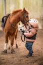 Portrait of little girl in protective jacket and helmet with her brown pony before riding Lesson Royalty Free Stock Photo