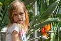 portrait, little girl seven years, sits next strelitzia