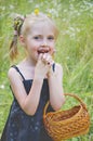 Portrait of a little girl in a summer meadow Royalty Free Stock Photo