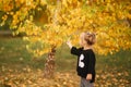 Portrait of little girl walking in the part in autumn. Blond hairl female kid outside. Warm autumn. Back view of kid