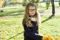 Portrait of little girl with yellow maple leaves, autumn background Royalty Free Stock Photo