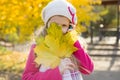 Portrait of little girl with yellow maple leaves, autumn background Royalty Free Stock Photo