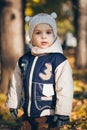 A portrait of a little handsome smiling boy in the autumn forest or park in yellow leaves Royalty Free Stock Photo