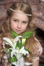 Portrait of a little princess Royalty Free Stock Photo