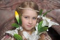 Portrait of a little princess Royalty Free Stock Photo