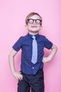 Portrait of a little smiling boy in a funny glasses and tie. School. Preschool. Fashion. Studio portrait over pink background Royalty Free Stock Photo