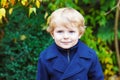 Portrait of little toddler boy on autumn day Royalty Free Stock Photo