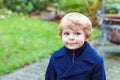 Portrait of little toddler boy on autumn day Royalty Free Stock Photo