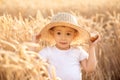 Portrait of little toddler child in straw hat standing in wheat field among golden spikes holding loaf of bread. Summer in country Royalty Free Stock Photo