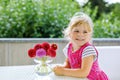 Portrait of little toddler girl admiring bouquet of blooming red and pink dahlia flowers. Cute happy child smelling and Royalty Free Stock Photo