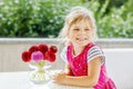 Portrait of little toddler girl admiring bouquet of blooming red and pink dahlia flowers. Cute happy child smelling and Royalty Free Stock Photo