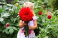 Portrait of little toddler girl admiring bouquet of huge blooming red and pink dahlia flowers. Cute happy child smelling Royalty Free Stock Photo