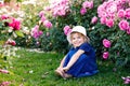 Portrait of little toddler girl in blossoming rose garden. Cute beautiful lovely child having fun with roses and flowers Royalty Free Stock Photo